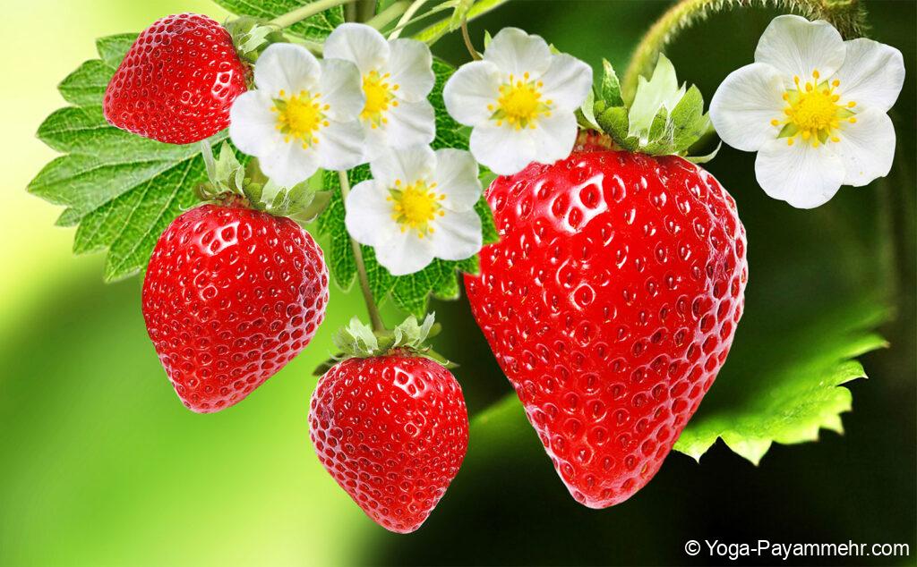 با خواص میوه های بهاری بیشتر آشنا شوید